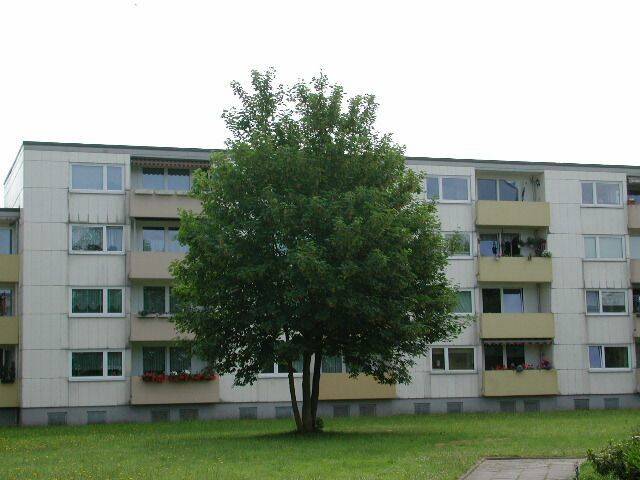 Wohn(t)raum: schöne 3-Zimmer-Wohnung, 24109 Kiel (Hasseldieksdamm Mettenhof)