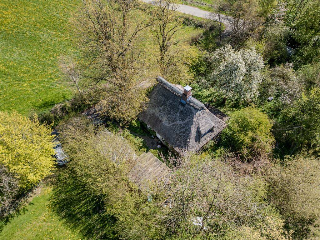 Reetdachhaus in 24582 Brügge, 24582 Brügge