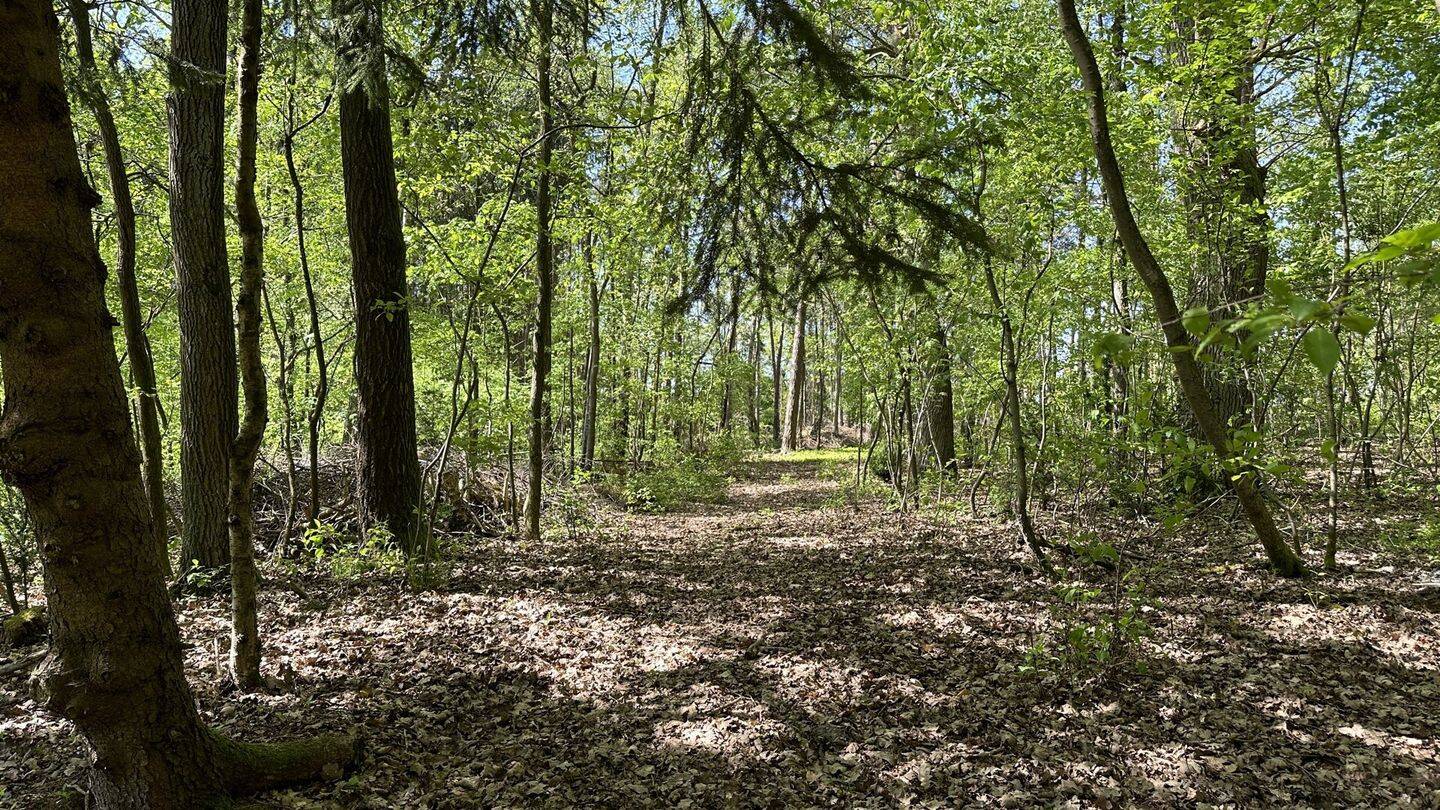 Ein großzügiges Haus mit knapp 23.000 m² Idylle!, 29361 Eschede