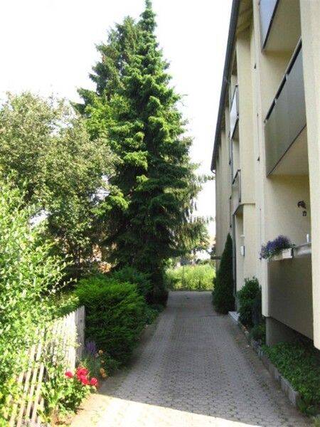 Schöne Wohnung sucht Mieter: sanierte 2-Zimmer-Wohnung mit Balkon, 53879 Euskirchen