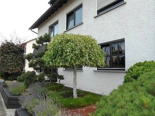 gemütliche 3 Zimmerwohnung von privat, Tel.: 0176 641 390 91, 63533 Mainhausen