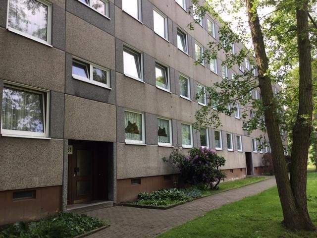 Hier lässt es sich aushalten: günstige 3-Zimmer-Wohnung in einer grünen Wohnanlage, 34132 Kassel (Bad Wilhelmshöhe Brasselsberg Niederzwehren Nordshausen Oberzwehren)