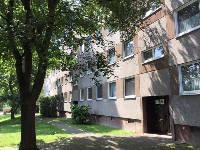 Wo das Leben so spielt – weitläufige 3-Zimmer-Wohnung, 34132 Kassel (Bad Wilhelmshöhe Brasselsberg Niederzwehren Nordshausen Oberzwehren)