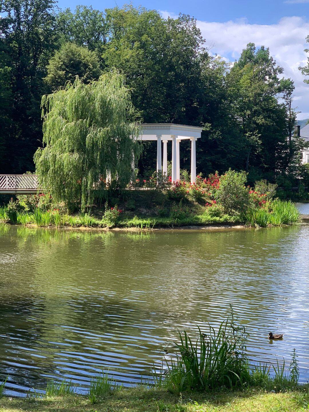 Grüne Oase am kleinen Tannenwald!, 61348 Bad Homburg v.d. Höhe