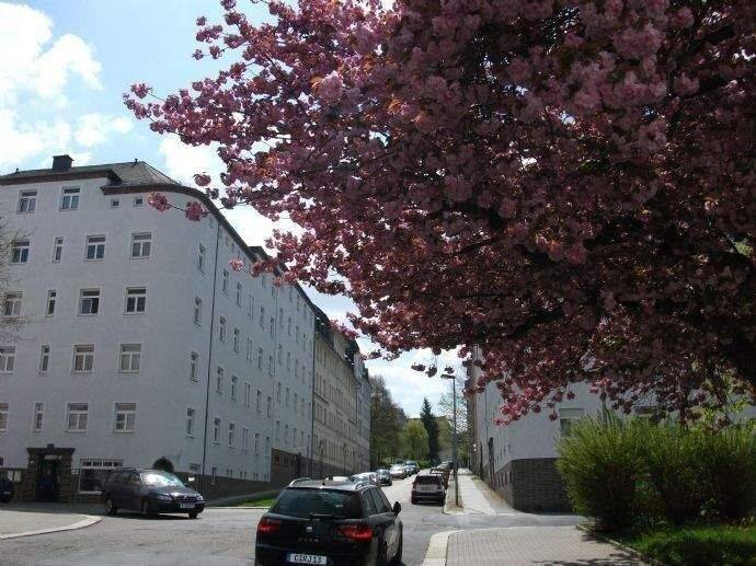 Wann geht`s los? Wir haben DIE WOHNUNG für Dich!, 9126 Chemnitz (Altchemnitz Bernsdorf Gablenz Lutherviertel Sonnenberg)