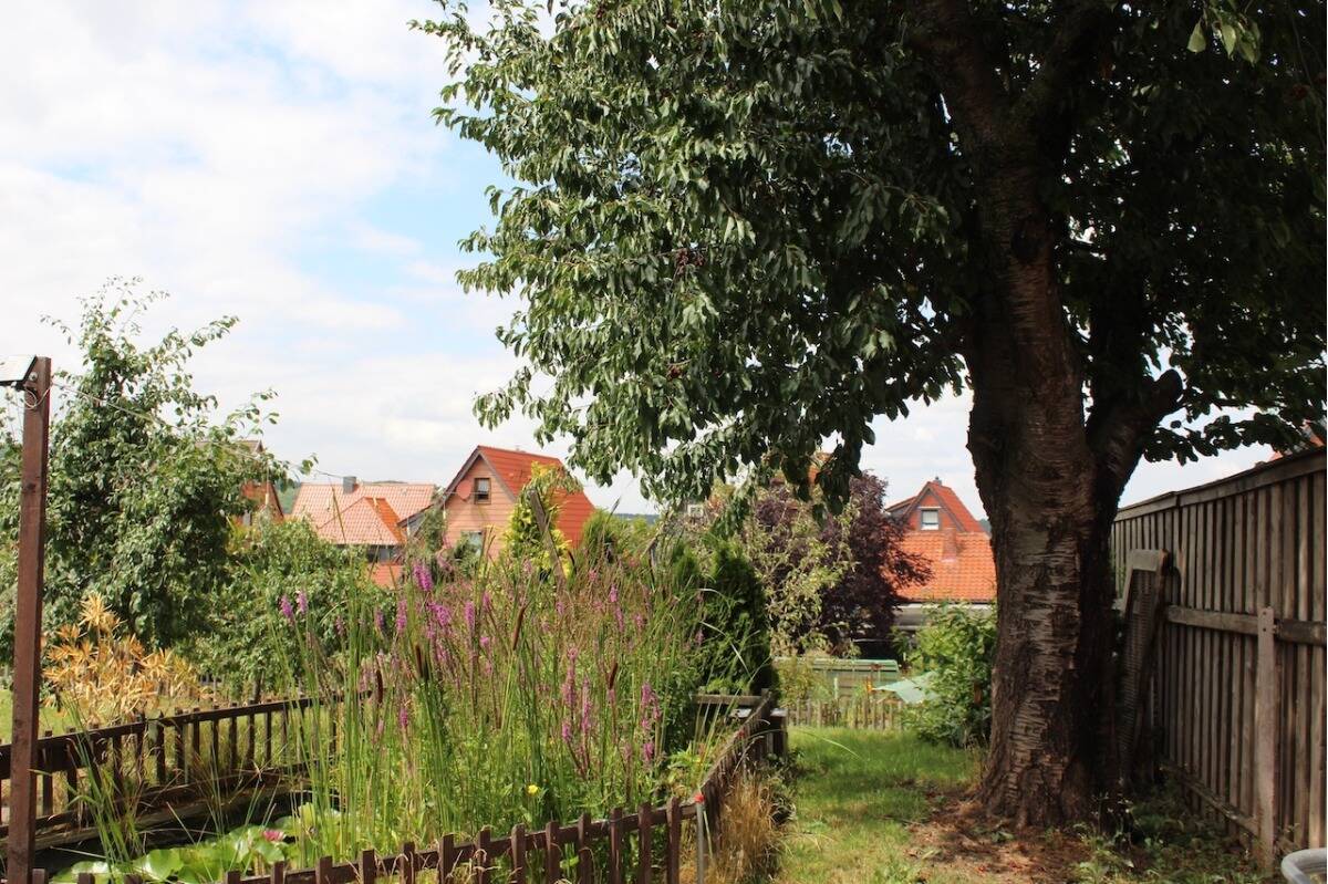 Charmantes Fachwerkhaus (2 Wohneinheiten) mit Gartenidylle und Dachterrasse, 38871 Ilsenburg (Harz)