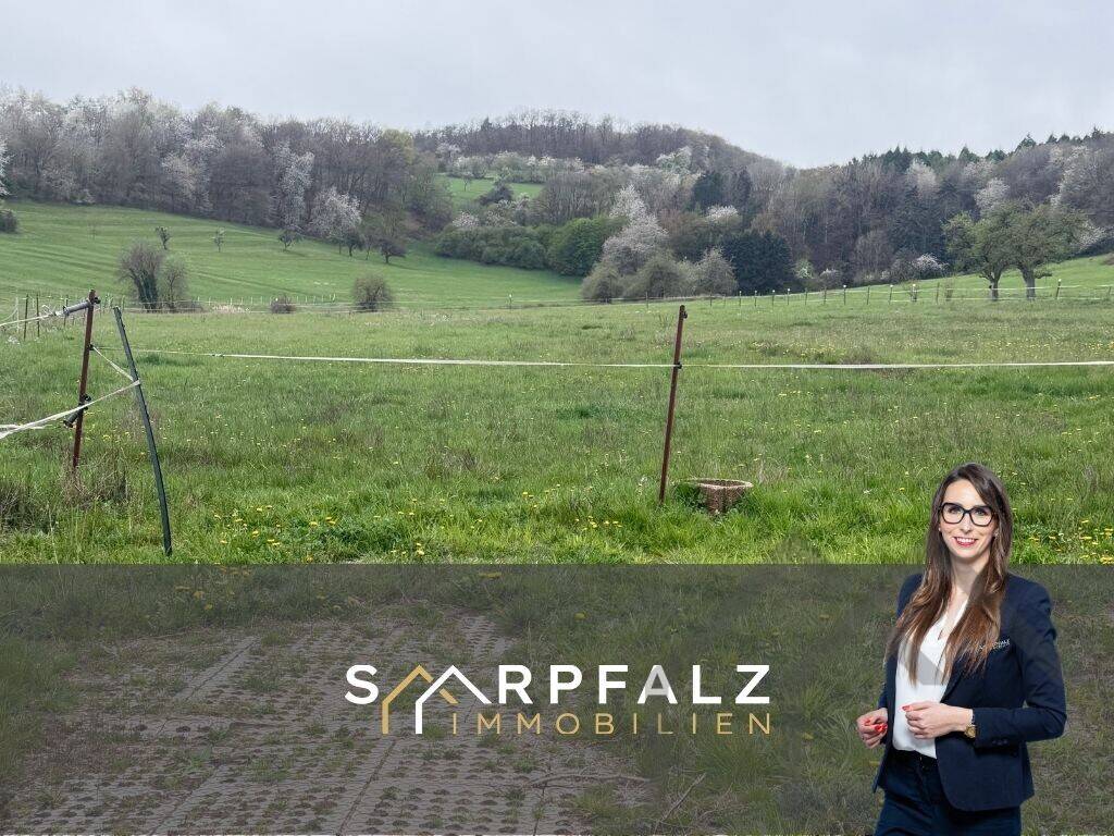 Das Leben ist (k)ein Ponyhof, 66909 Wahnwegen