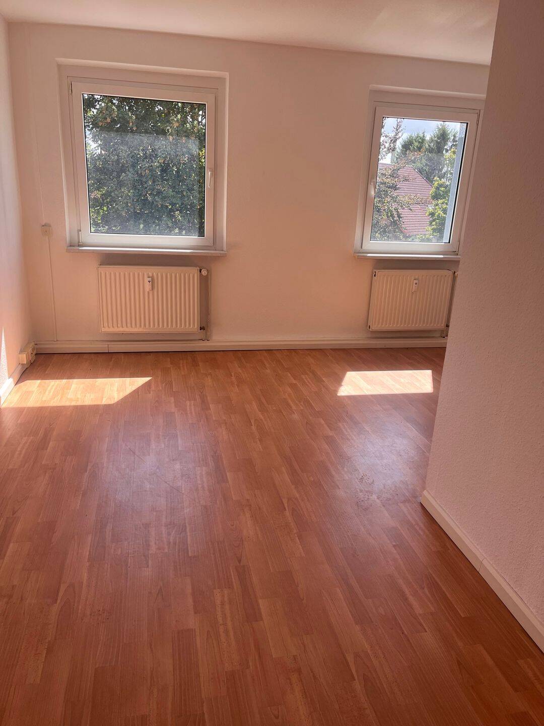 schöne helle 1-Raum -Wohnung zu vermieten, 17091 Rosenow