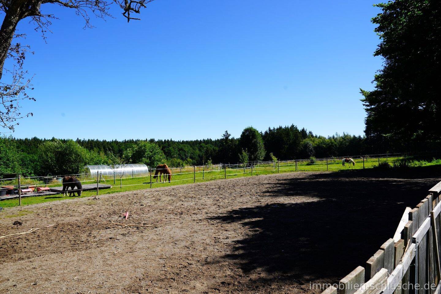 Ideal für Pferd und Reiter bei ehemaligen Bauernhaus in Naturlage zwischen Kempten und Memmingen, 87730 Bad Grönenbach