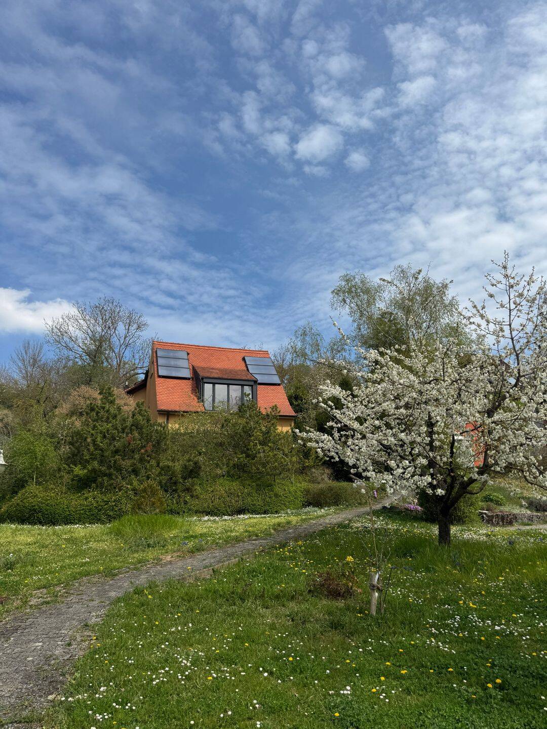 Seltene Gelegenheit: Einfamilienhaus mit unverbaubarem Mainblick und großem Grundstück, 97199 Ochsenfurt