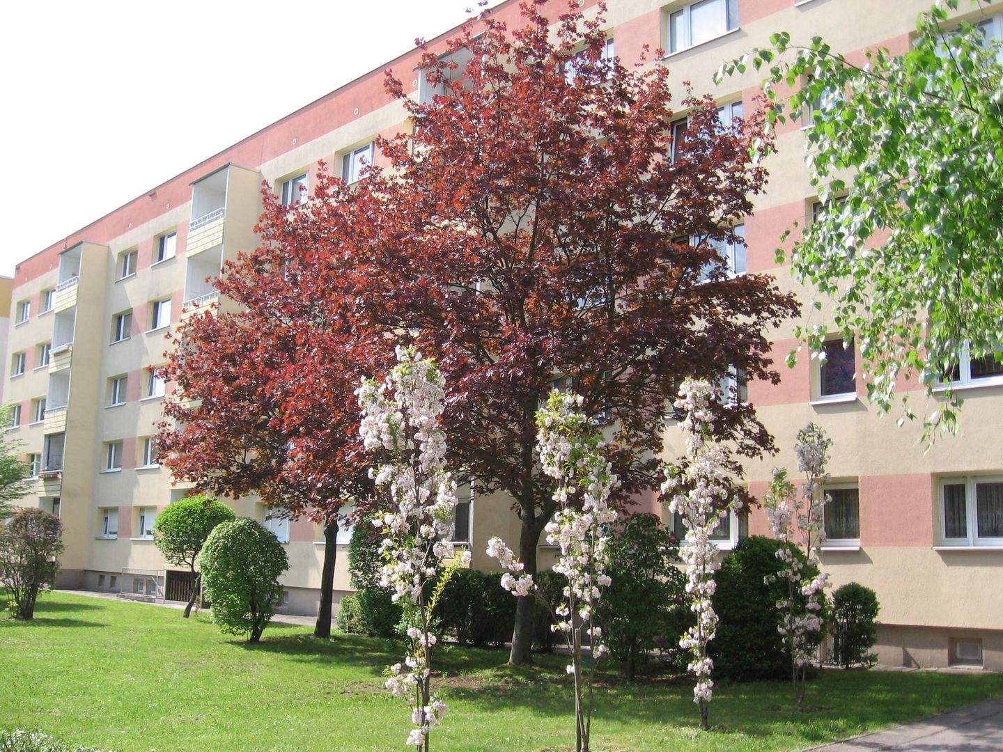 Bezugsfertige 2 Raumwohnung – ideal für das junge Paar, 4552 Borna