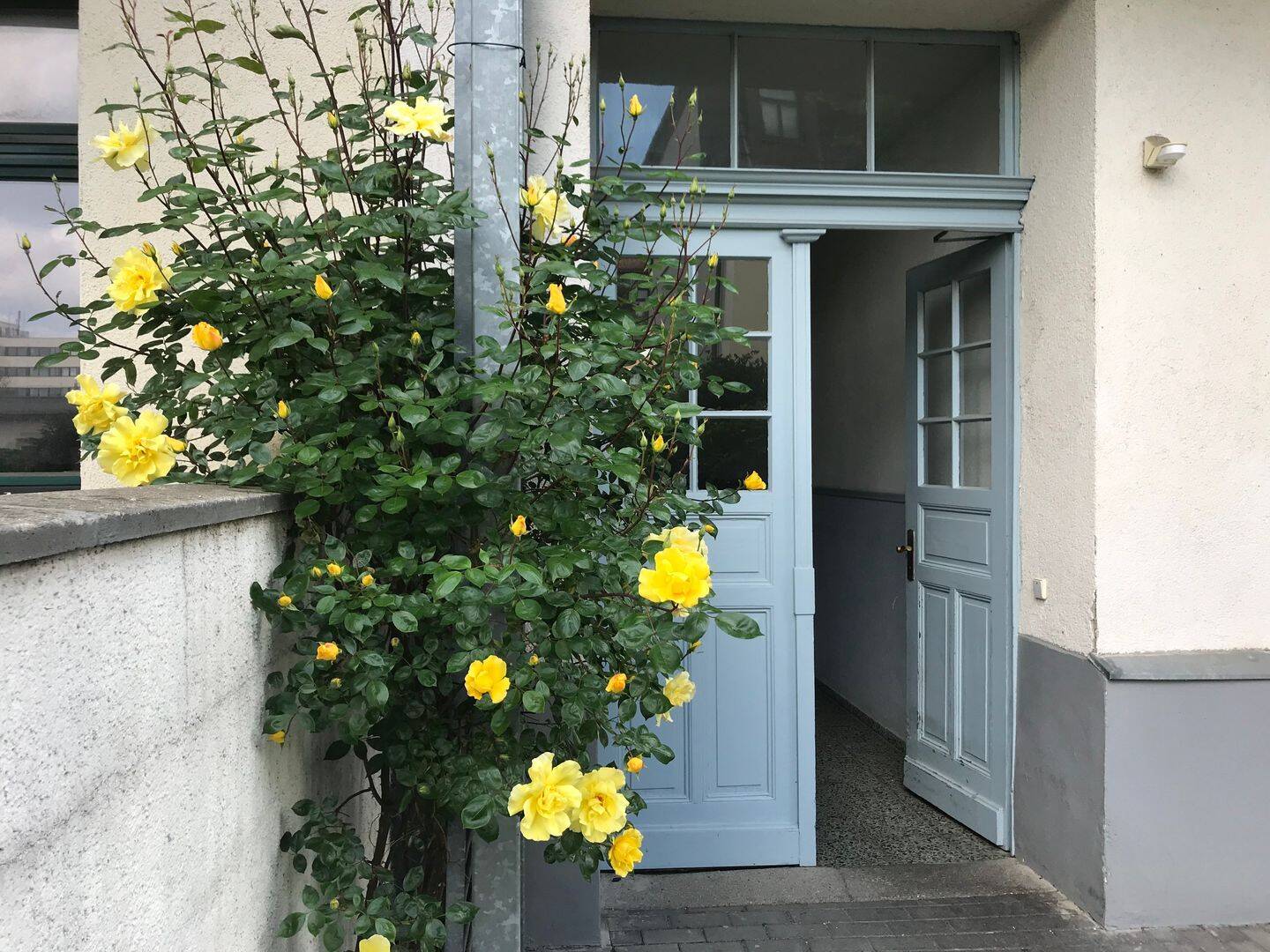 Freundliche 1 Zimmerwohnung im Leipziger Westen, 4229 Leipzig (Kleinzschocher Plagwitz Schleußig)