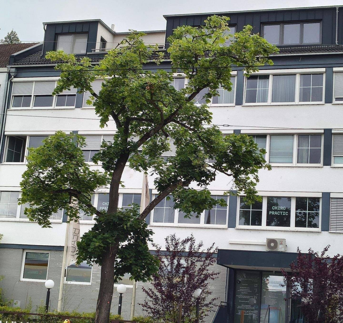 Zentrale 2-Zimmer Wohnung in Nürnberg nähe Erlenstegen, 90491 Nürnberg