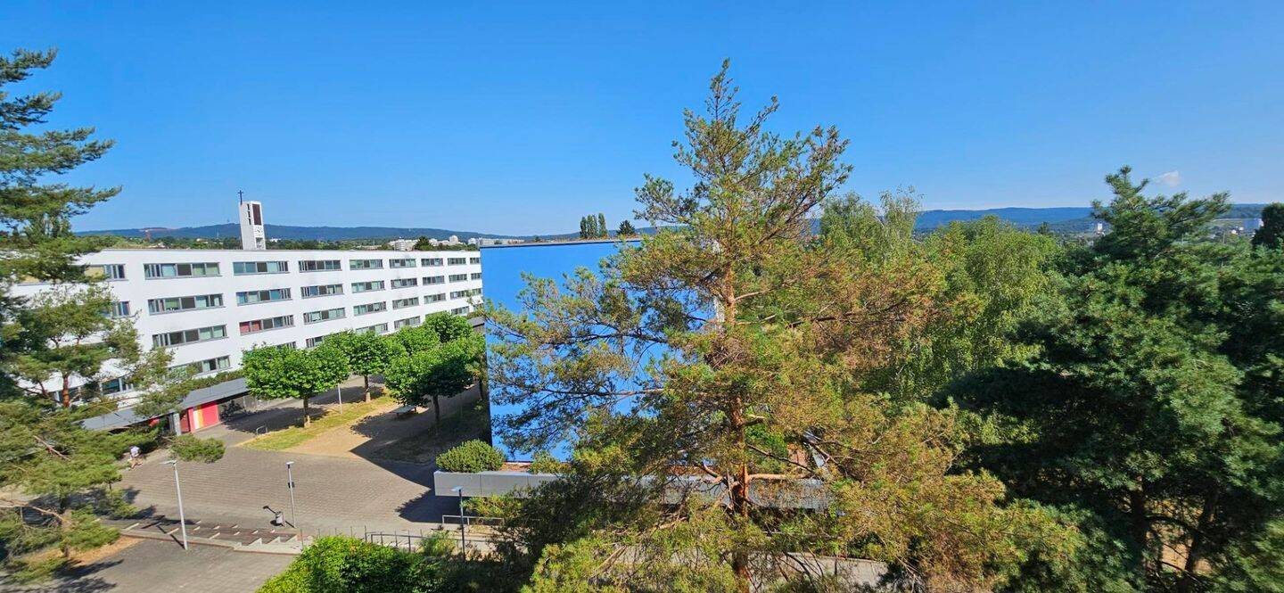 Moderne 2-Zimmerwohnung mit sonnigem Flair!, 65197 Wiesbaden (Biebrich Dotzheim Wiesbaden)
