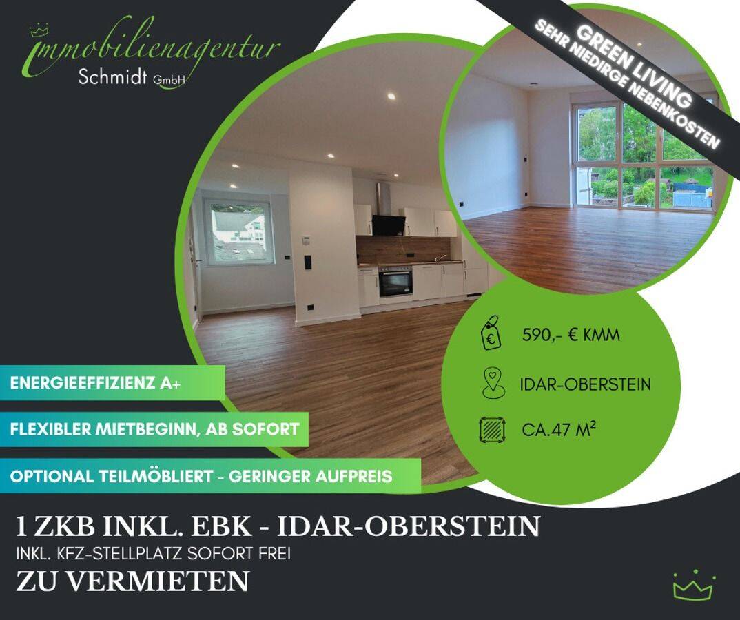 ***Hippes 1ZKB-Appartment, I-O, ab sofort, zu vermieten!***, 55743 Idar-Oberstein