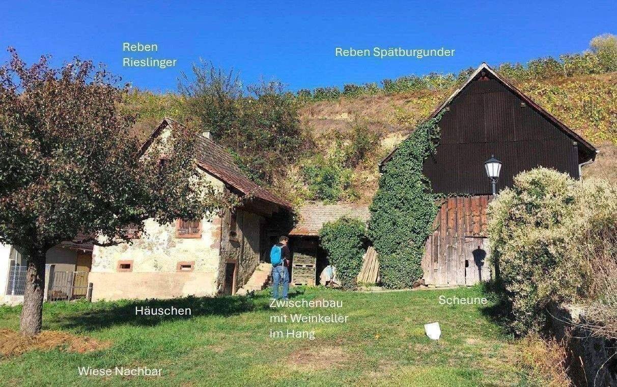 Kl. Weingut Vogtsburg-Bickensohl-Breisach + Wohnhs + Scheune + 2Rebterrassen + Löskeller + Sanierungskosten ca. 290T€ + hohes Steuersparen Denkmal, 79235 Vogtsburg im Kaiserstuhl
