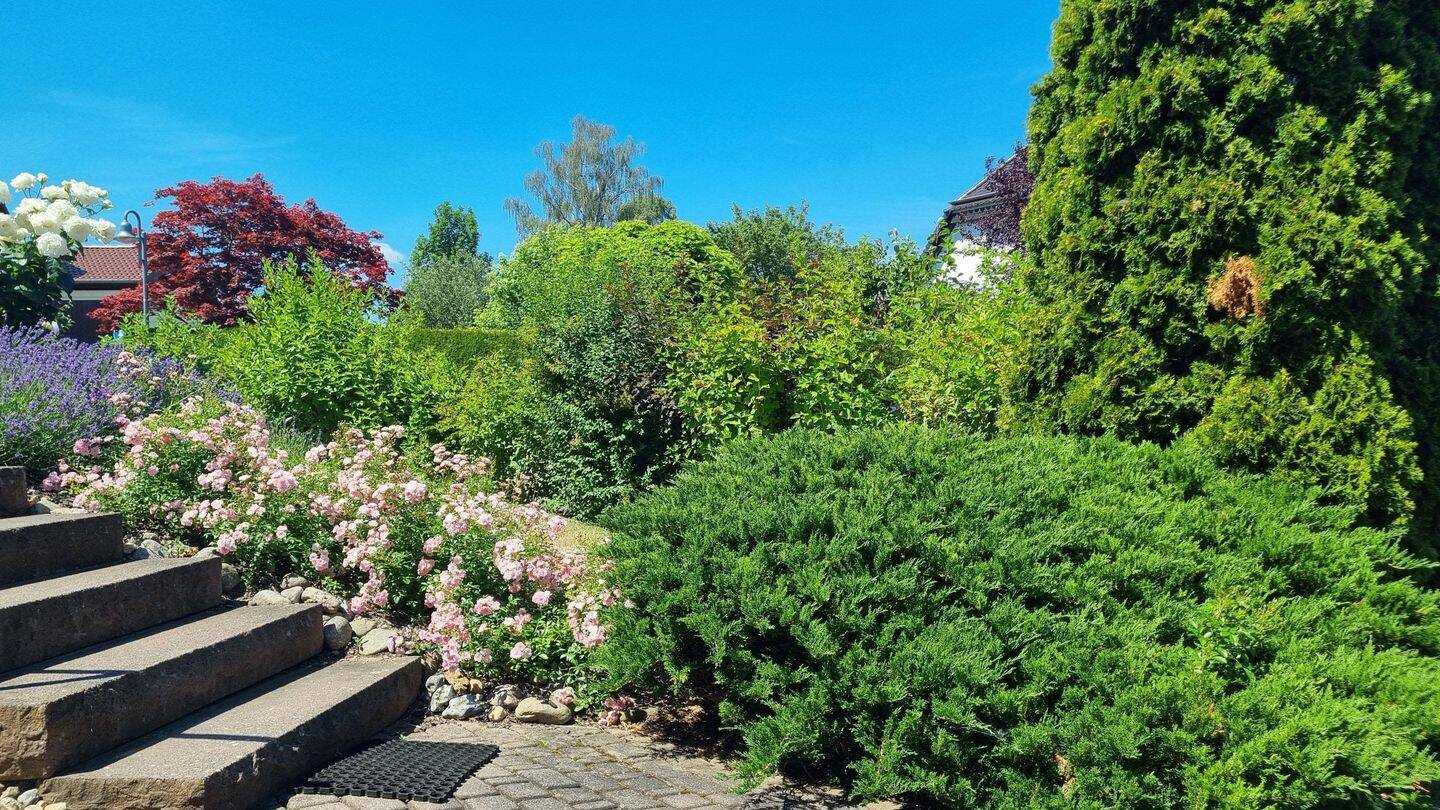 Jede Menge Platz mit 8 Zimmern auf 195m², 1809 Dohna