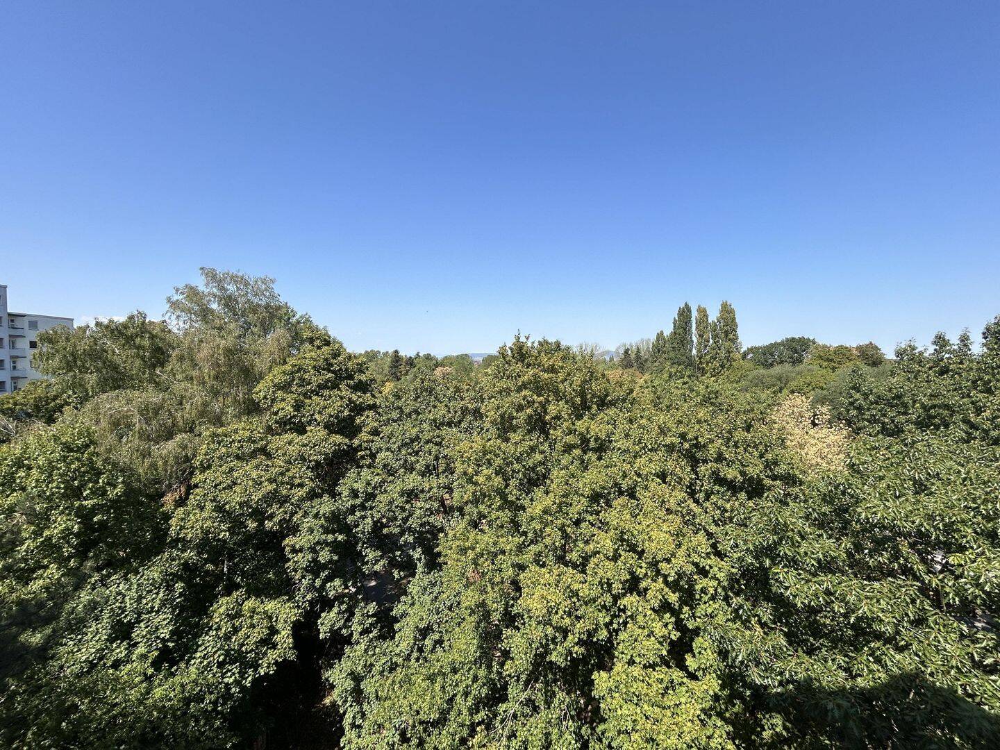 Charmante Wohnung mit tollem Ausblick, 79115 Freiburg im Breisgau