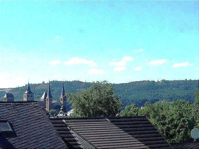 Frei ab sofort / Helle 2,5-Zimmer-Wohnung nahe Hauptbahnhof mit Einbauküche und Weitblick, 54295 Trier