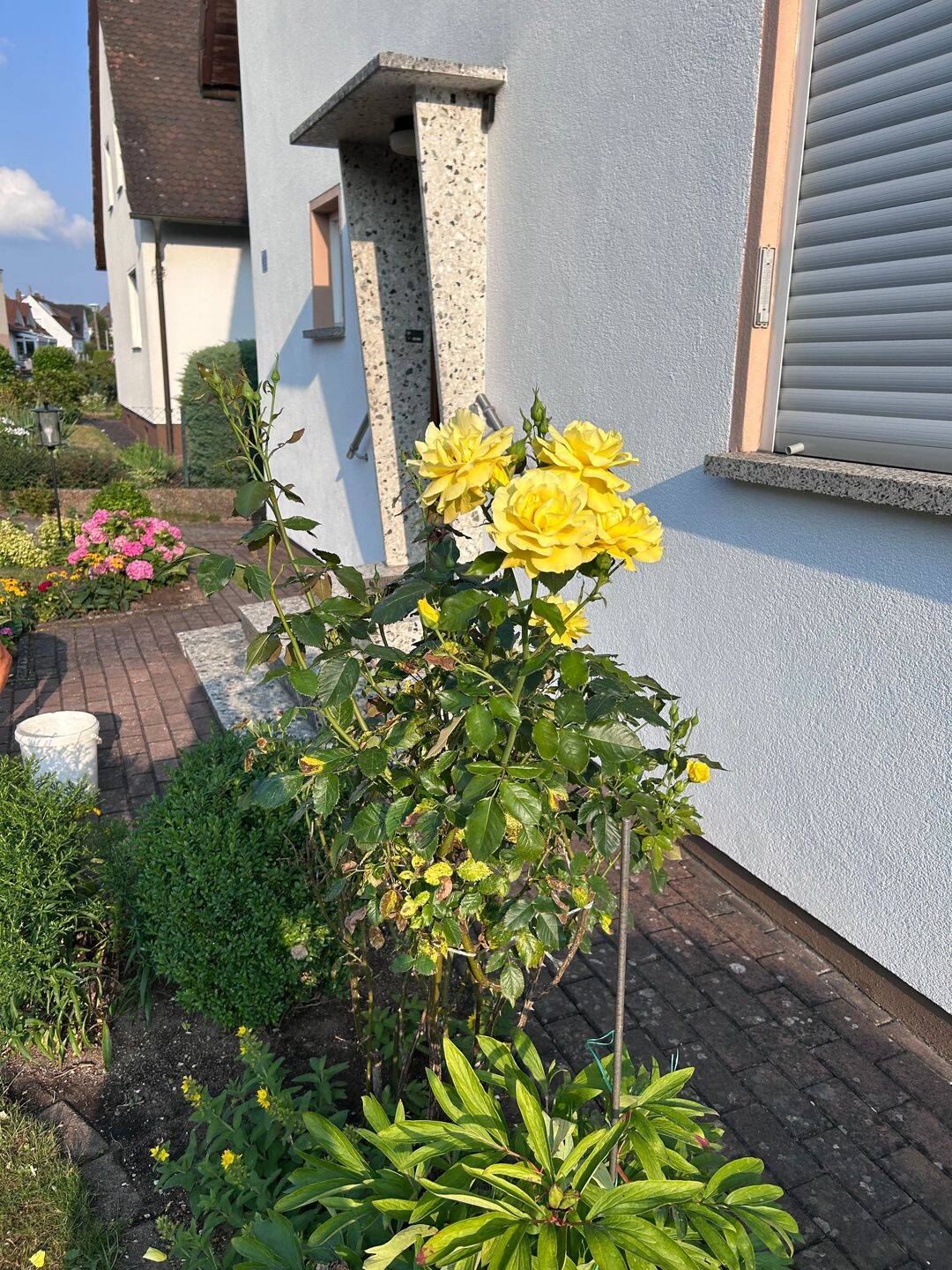 Vermiete renovierte 3-Zimmer EG-Wohnung, 90584 Allersberg