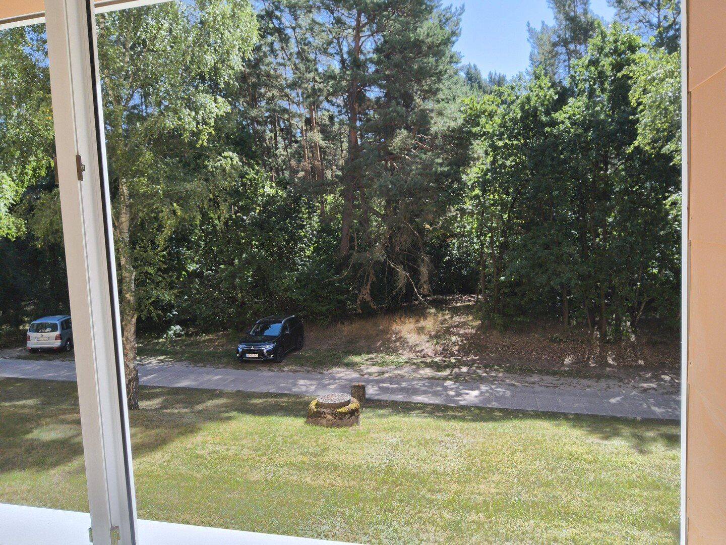 Superlage am Waldrand,sonnige 3Zimmerwohnung, 17235 Neustrelitz