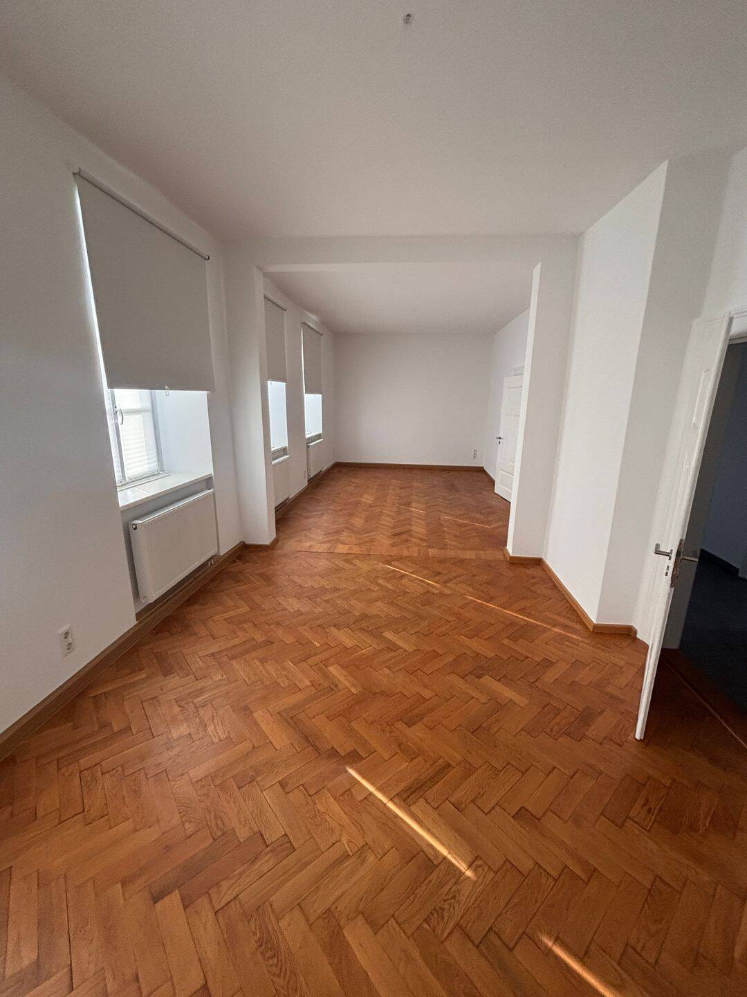 1 topsanierte 3 Zi-Altbauwohnung, 96 m2 Wiesentheid, hell, großzügig, Dachterrasse, 97353 Wiesentheid