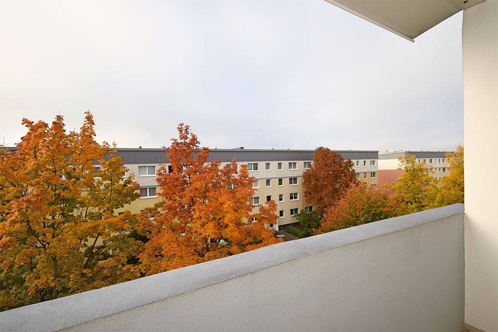 Hier stimmt der Preis, 6132 Halle (Saale) (Ammendorf-Beesen Planena Radewell-Osendorf Silberhöhe)