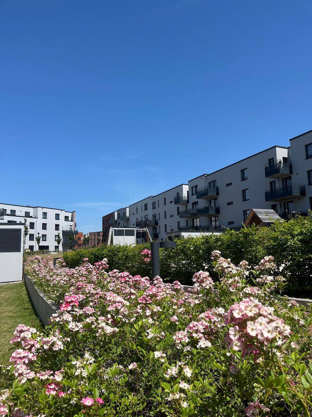 Kronsrode: 3-Zimmer Neubauwohnung mit Terrasse im Iris-Runge-Quartier, 30539 Hannover