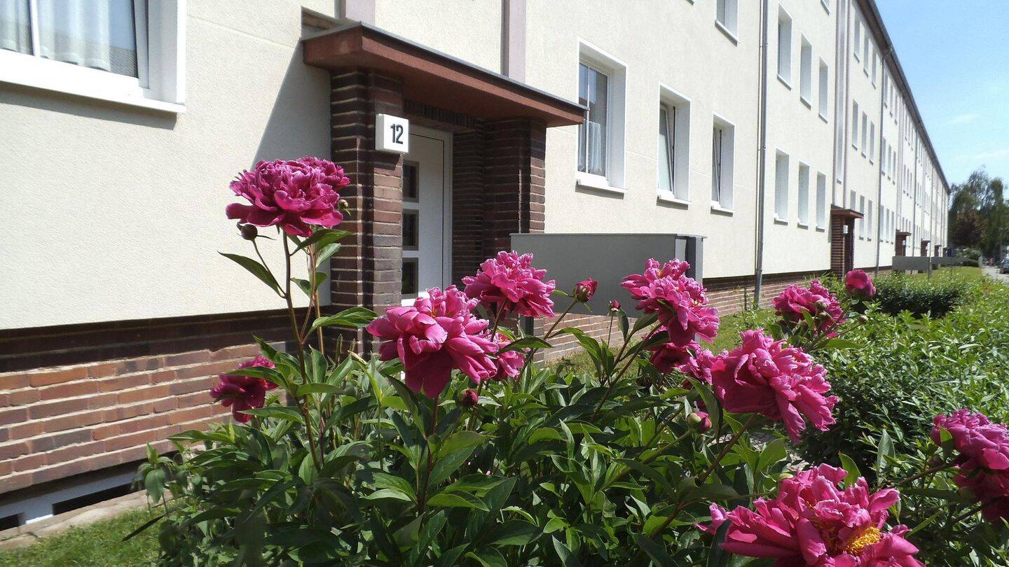 2-Raum Wohnung / Stadtfeld West / 65m², 39110 Magdeburg (Diesdorf Stadtfeld West)