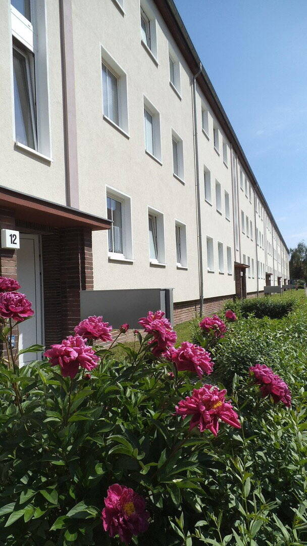 2-Raum Wohnung / Stadtfeld West / 62m², 39110 Magdeburg (Diesdorf Stadtfeld West)