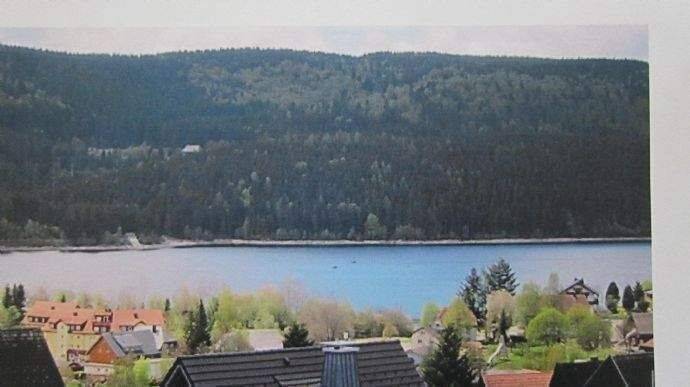 Sonnige 3 Zimmer- Gartenwohnung in ruhiger Lage, 79859 Schluchsee