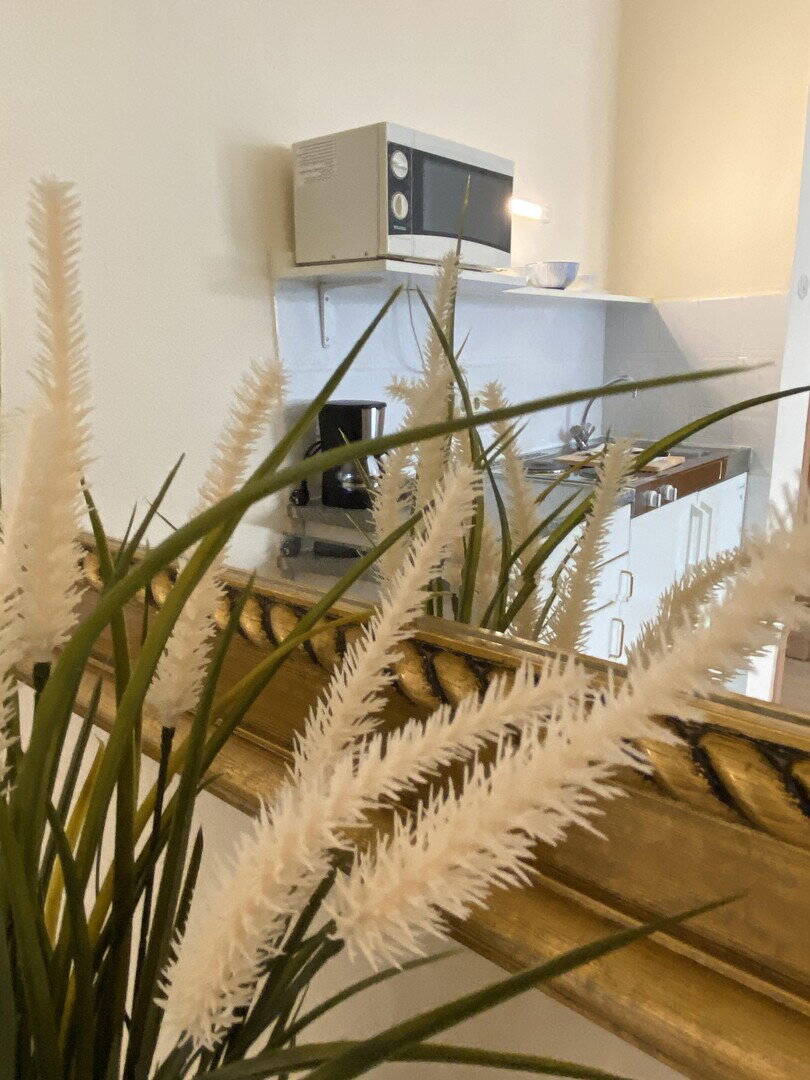 Schöne Single Wohnung (möbliert) nähe Japanviertel, 40211 Düsseldorf (Pempelfort Stadtmitte)