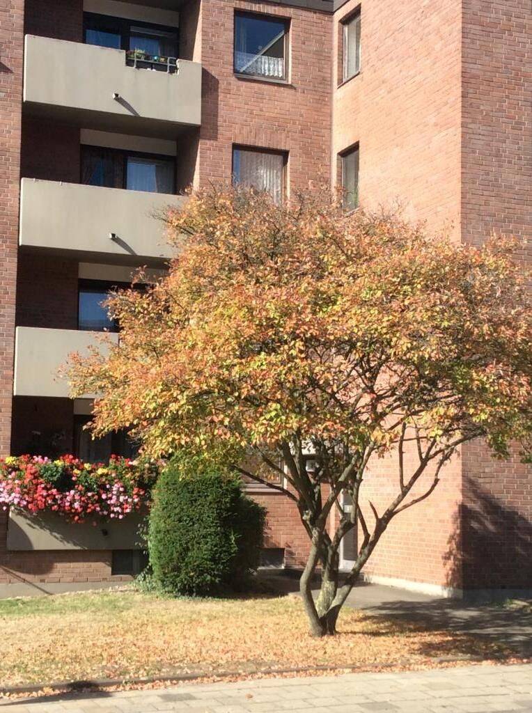 Demnächst frei! 1-Zimmer-Wohnung in Aachen, 52068 Aachen
