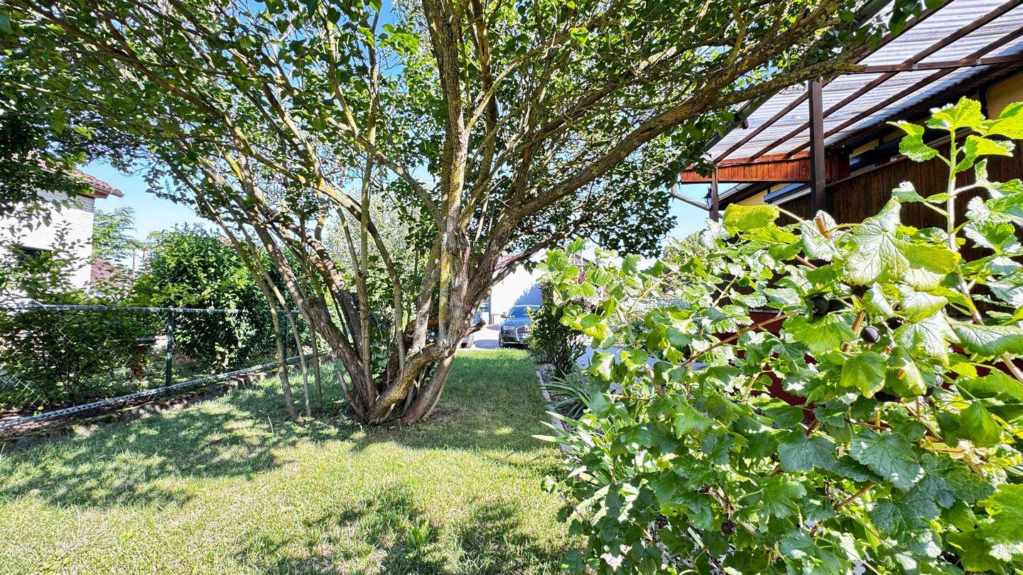modernisierter Bungalow mit beheiztem Vollkeller und Garage in ruhiger Wohnlage, 38822 Groß Quenstedt