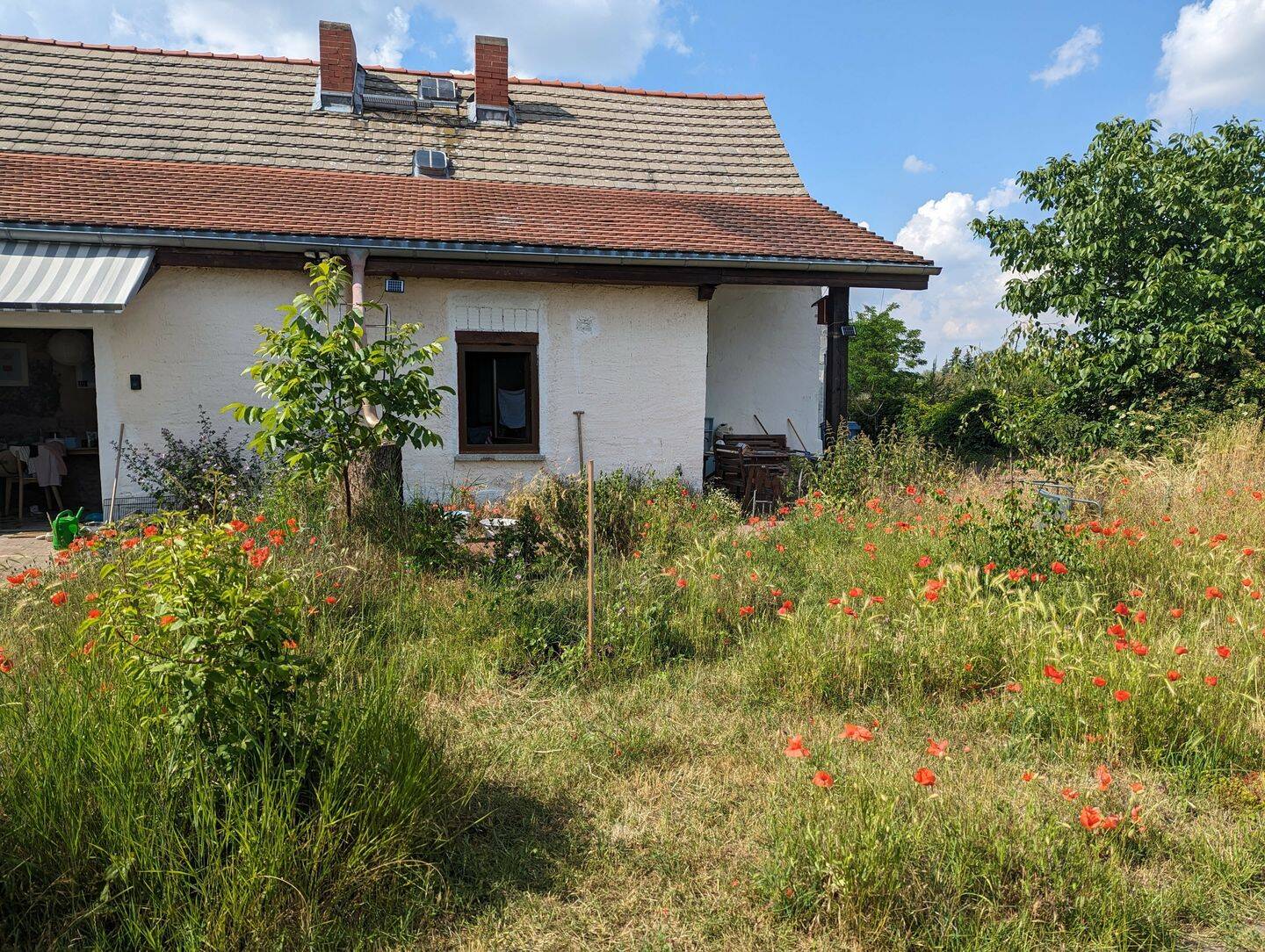Neuer Preis ! Kleines Bauernhaus. Perfekt als Wochenend- oder Sommerhaus., 6420 Könnern