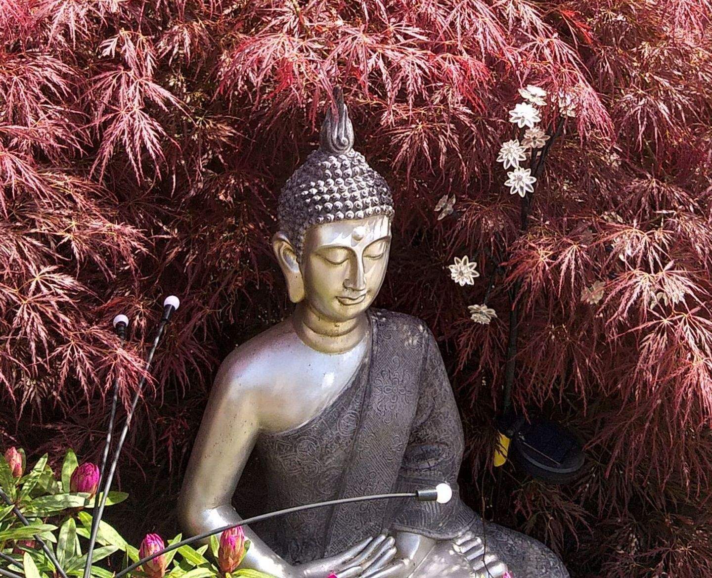 Nähe Niendorfer Gehege – 3 Räume mit schöner Terrasse + Garten in toller 30 Zone – Nähe Schule Wegenkamp, 22527 Hamburg (Eimsbüttel Eidelstedt Lokstedt Stellingen)