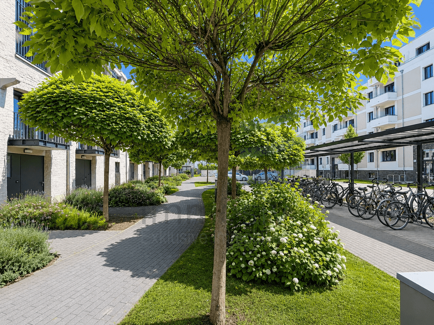 Bezugsfreie Wohnung mit Loftcharakter und sehr großzügiger Terrasse, 14473 Potsdam (Südliche Innenstadt Teltower Vorstadt Templiner Vorstadt)