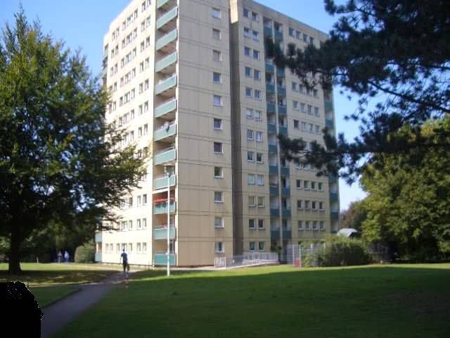 Gepflegte Etagenwohnung zur Miete in Münster – Wentzel Dr., 48151 Münster (Aaseestadt Centrum Geist)