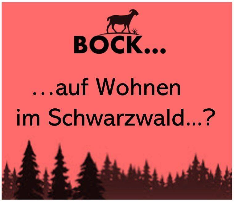 Exklusives Wohn- und Ferienprojekt im Hochschwarzwald, 79853 Lenzkirch