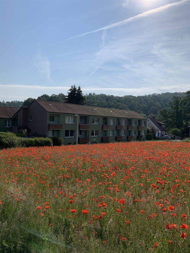2-Zimmer-Wohnung mit Balkon, 37603 Holzminden