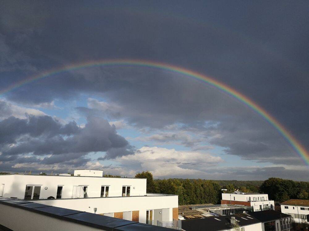 Singlewohnung- Endetage – große Dachterrasse, Fahrstuhl, Energieeffizient, TG, ruhige Lage, 21077 Hamburg (Harburg)