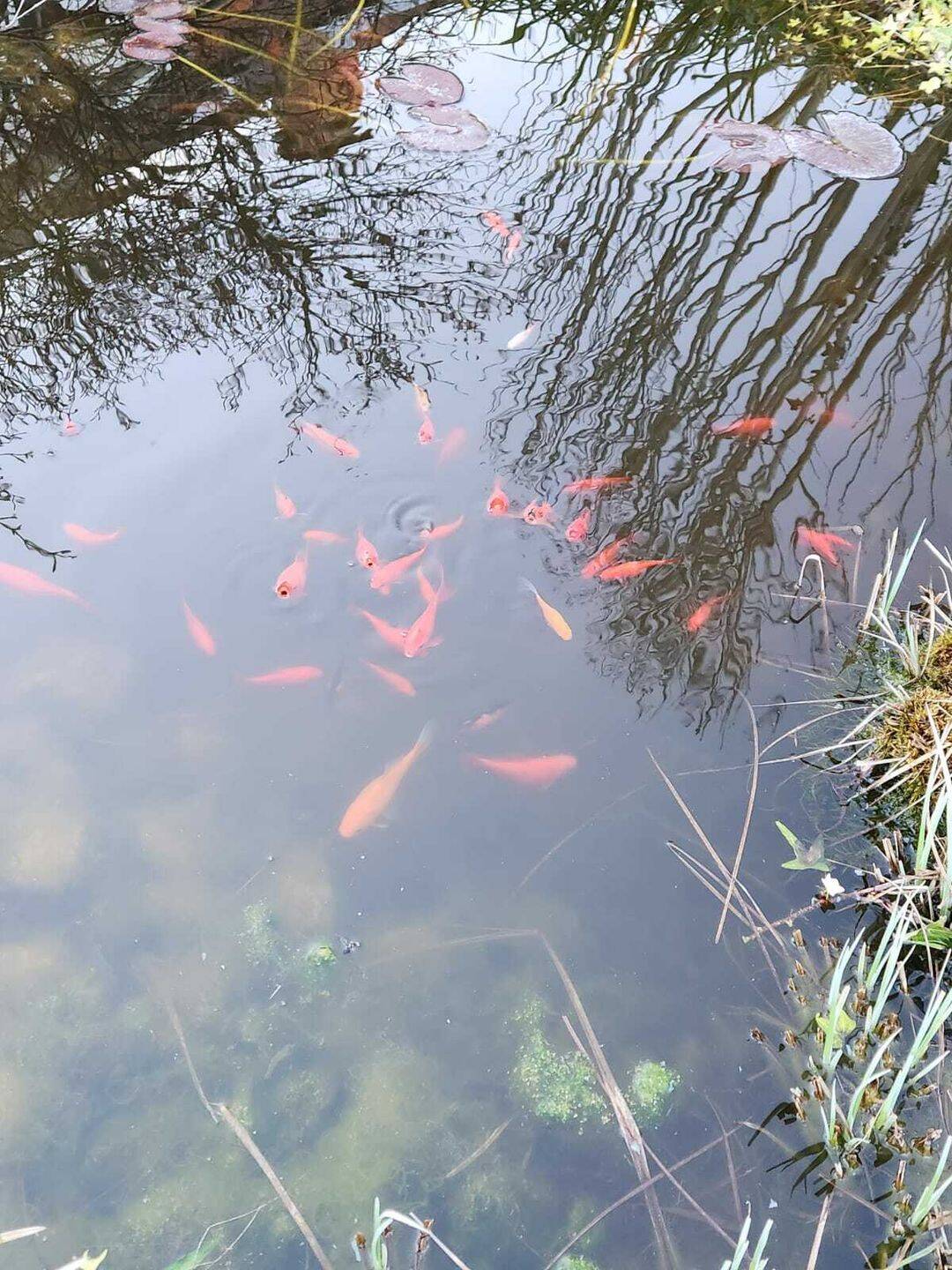 Charmantes Einfamilienhaus mit idyllischem Garten und viel Gestaltungspotenzial., 32791 Lage