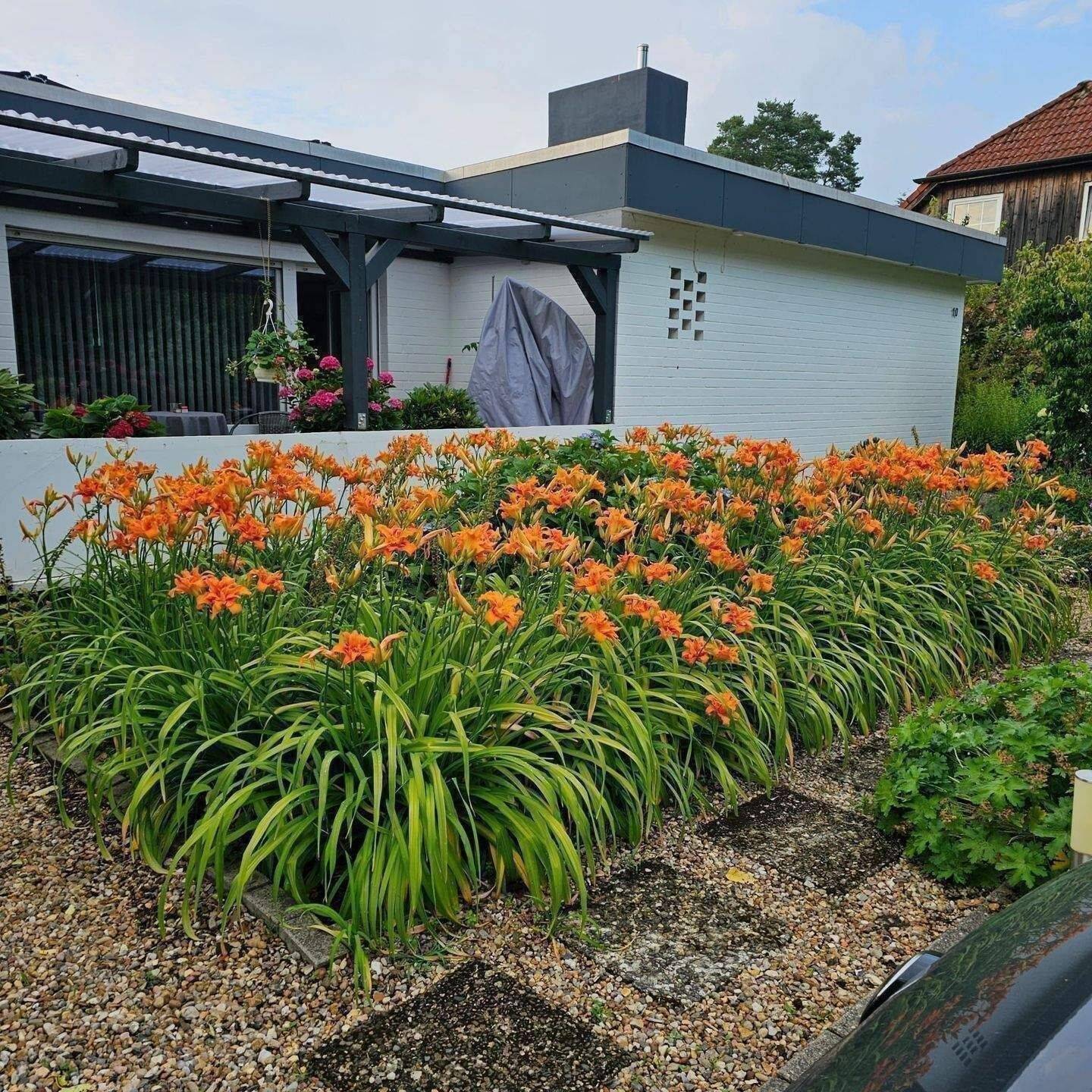 Wohnen auf einer Ebene, leben auf höchstem Komfort: Traumhafter Bungalow in Bestzustand!, 29499 Zernien