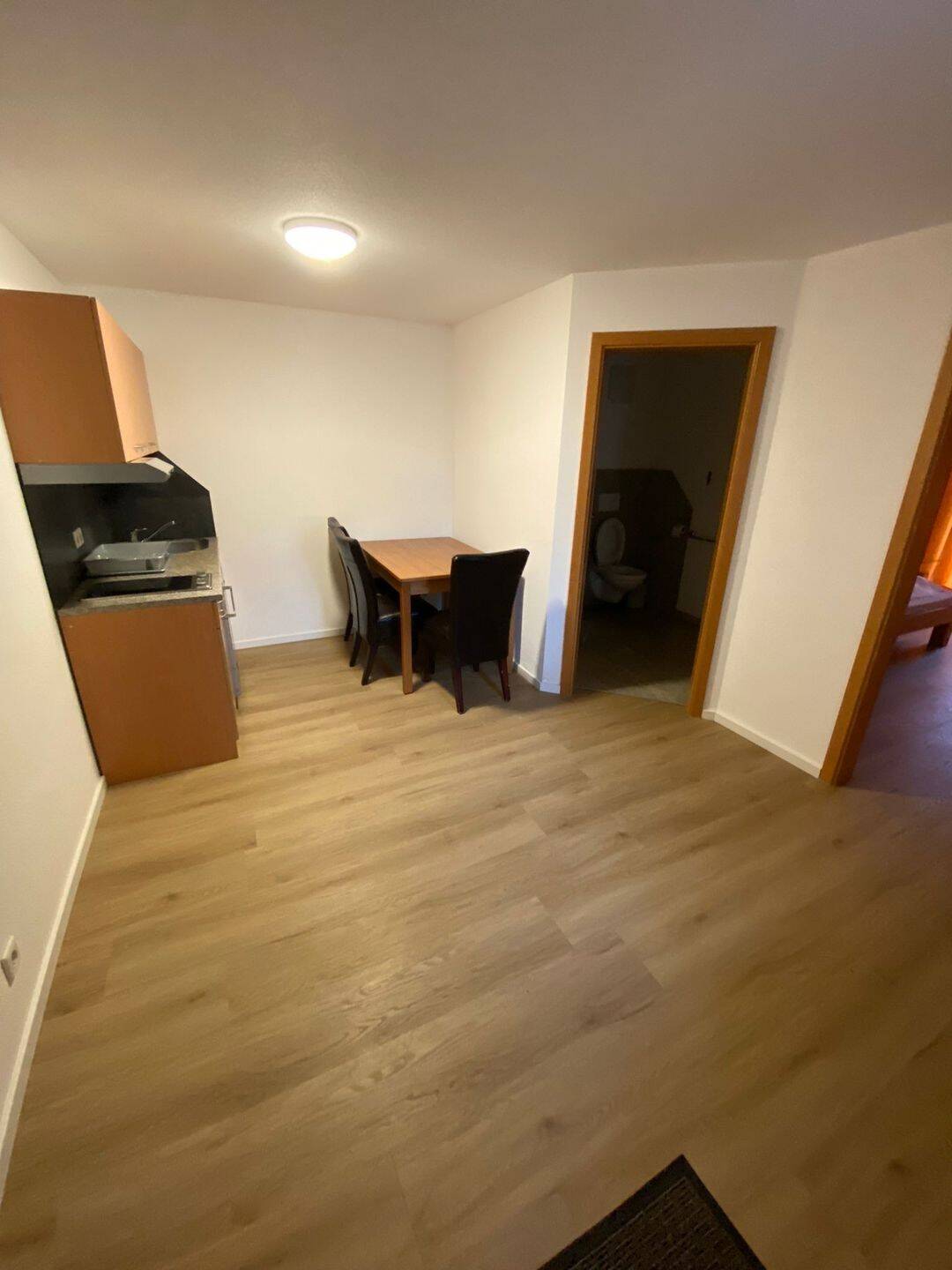 2-Zimmer Apartment möbliert, 78315 Radolfzell am Bodensee