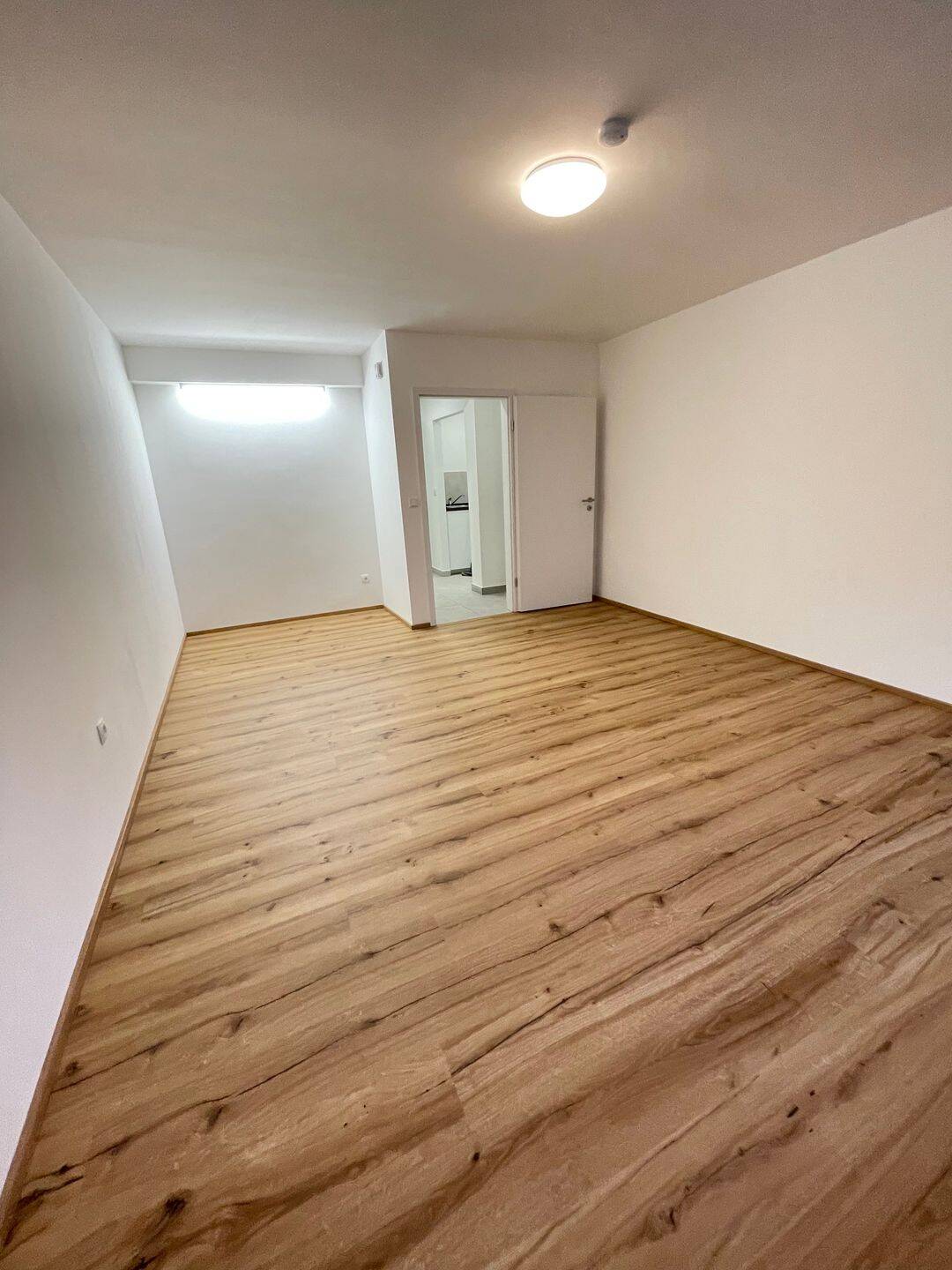 zur Miete: 1 Zi. Apartment in St. Peter, Nürnberg, 90478 Nürnberg (Dutzendteich Gleißhammer Glockenhof Sankt Peter Zerzabelshof)