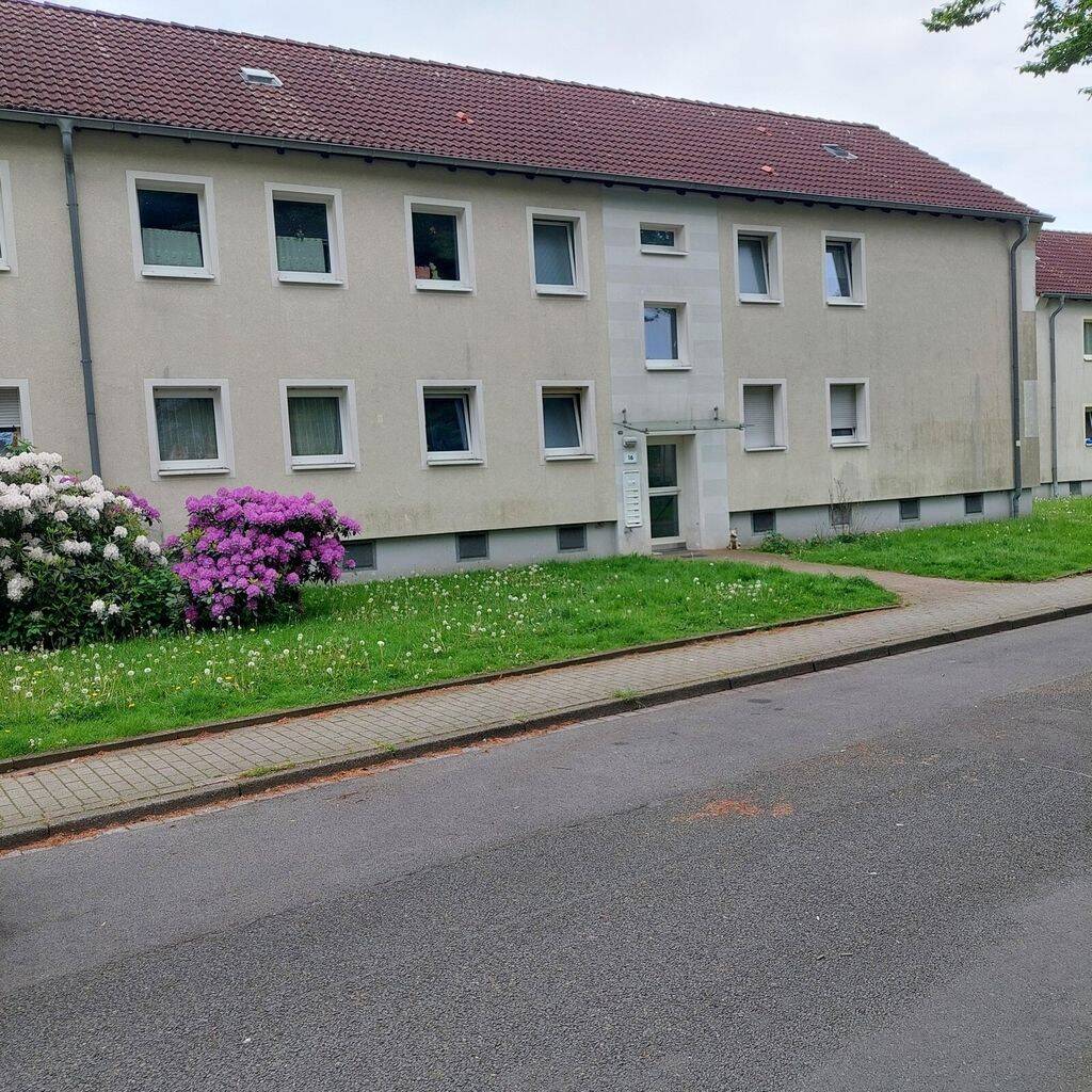 Vier Wände zum Wohlfühlen – WBS nicht erforderlich., 45326 Essen (Altenessen-Nord Altenessen-Süd)