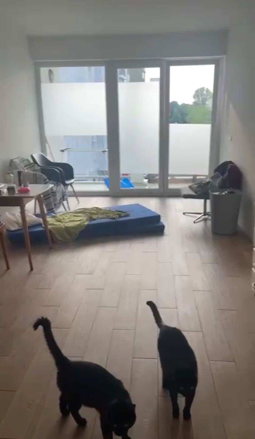 nachmieter*in gesucht zum 01.09. (nach Absprache auch früher), 10247 Berlin (Friedrichshain-Kreuzberg Friedrichshain Prenzlauer Berg)