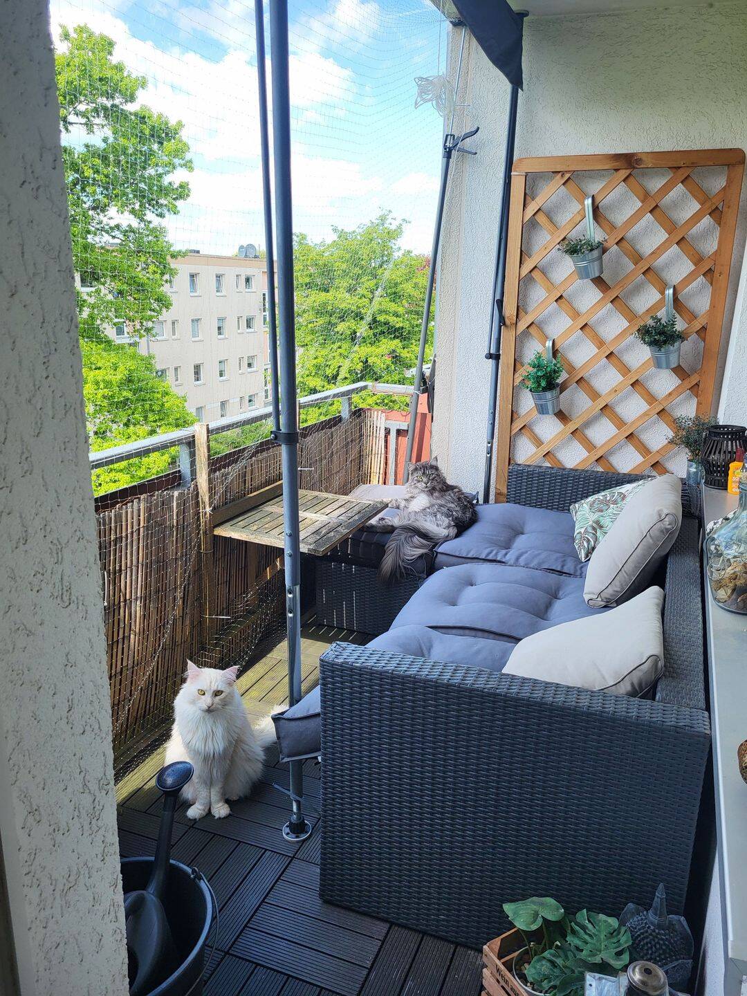 Möblierte Wohnung zur Untermiete für 1 Jahr mit Katzenbetreuung, 24107 Kiel (Suchsdorf)