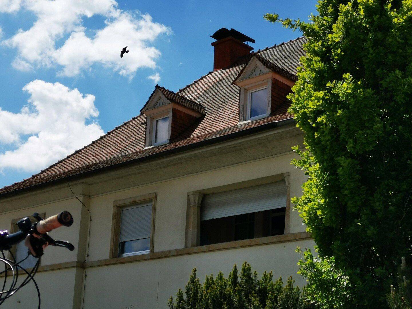 Großzügige DHH mit 3 Wohnungen & Ausbaupotenzial in zentraler Lage, 55286 Wörrstadt