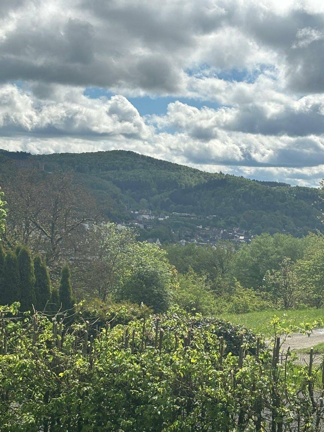 Entdecken Sie Ihr Juwel im idyllischen Luftkurort Biedenkopf – ein Naturparadies erwartet Sie!, 35216 Biedenkopf